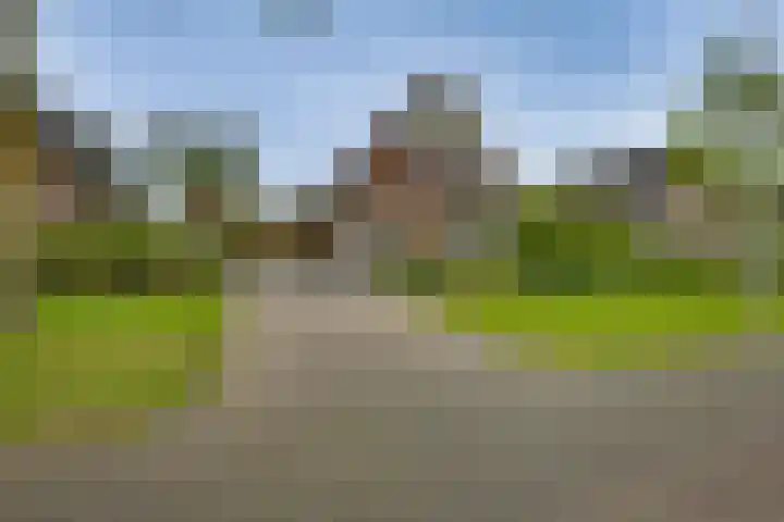 Nieënhof 90 Heeten thumbnail 27