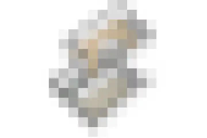 Nieënhof 90 Heeten thumbnail 32