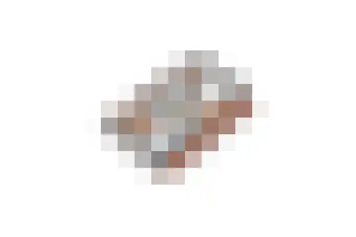 Nieënhof 90 Heeten thumbnail 35