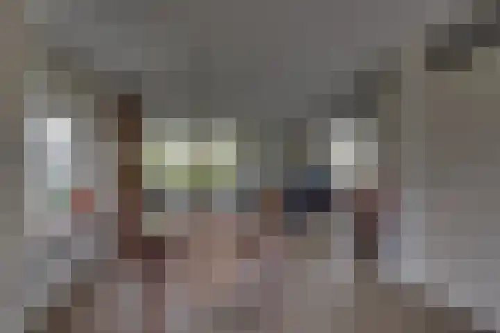 Nieënhof 90 Heeten thumbnail 5
