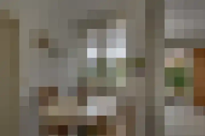 Nieënhof 90 Heeten thumbnail 8