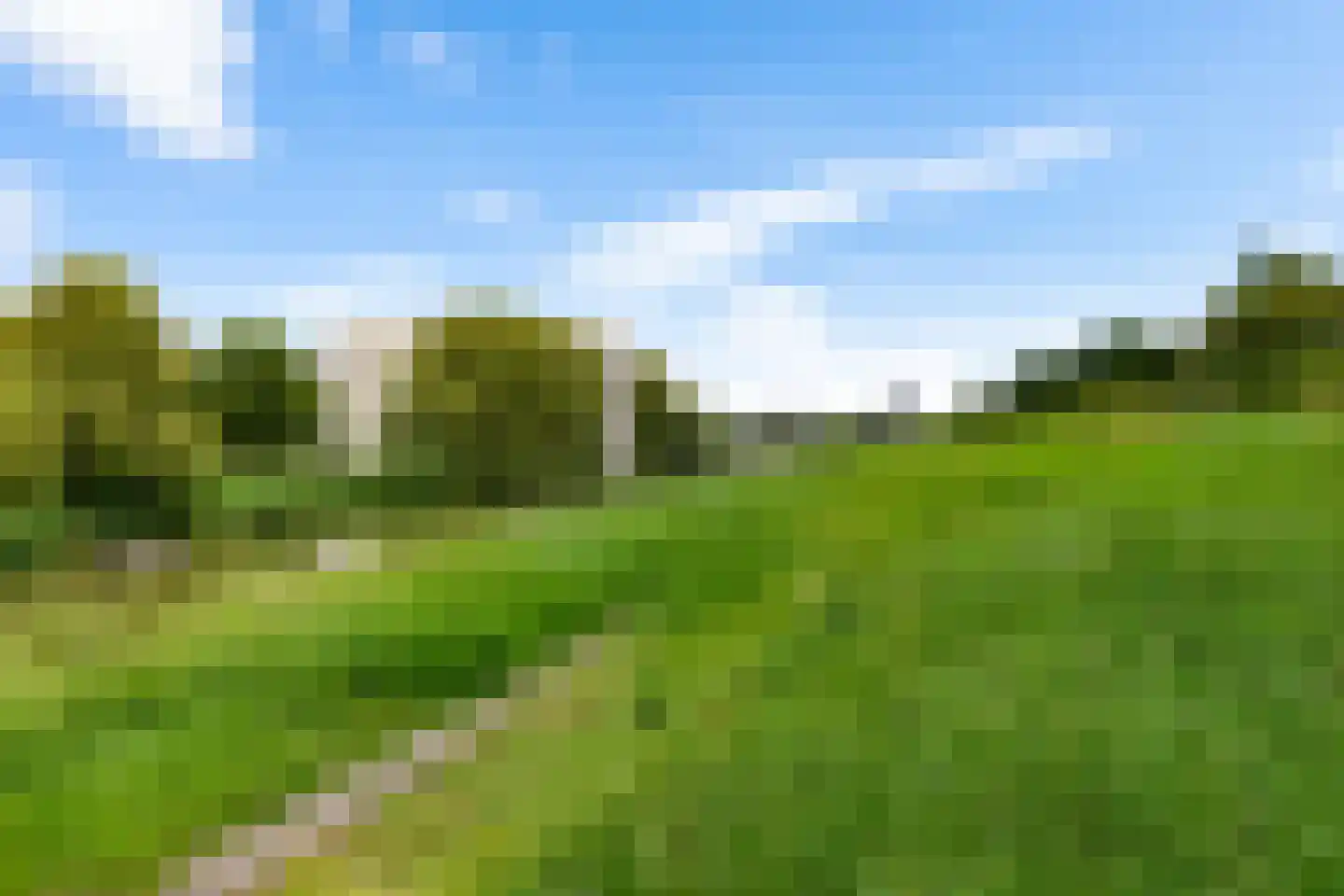 Niek Engelschmanstraat 35 Groningen thumbnail 35