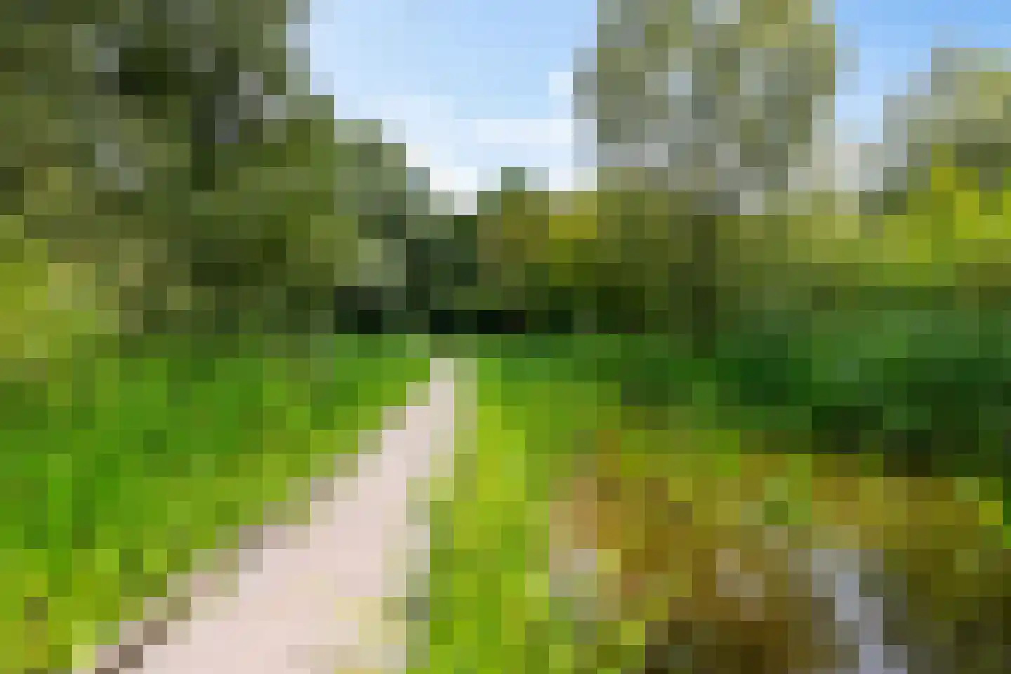 Niek Engelschmanstraat 35 Groningen thumbnail 37