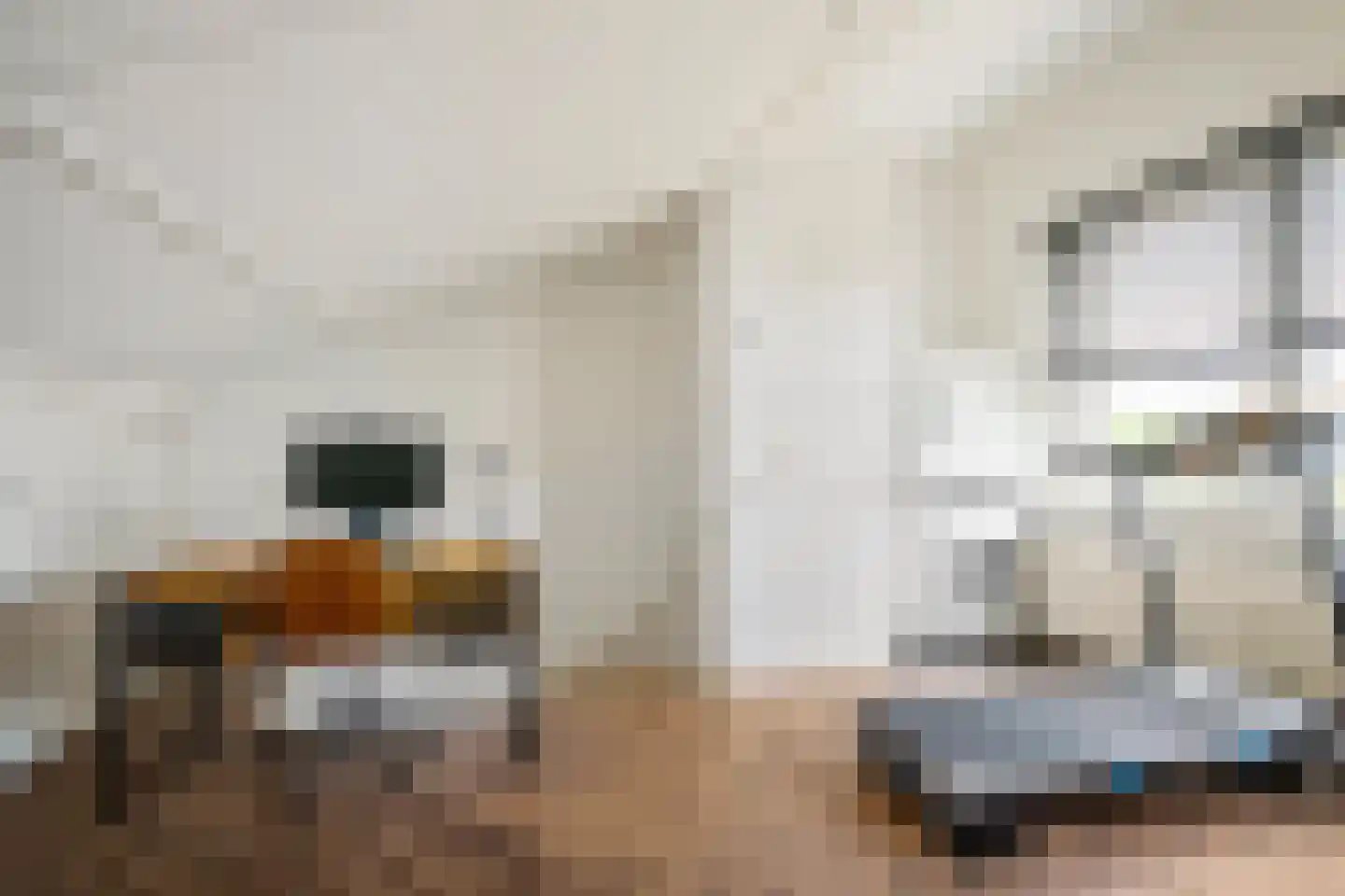 Niek Engelschmanstraat 7 Groningen thumbnail 31