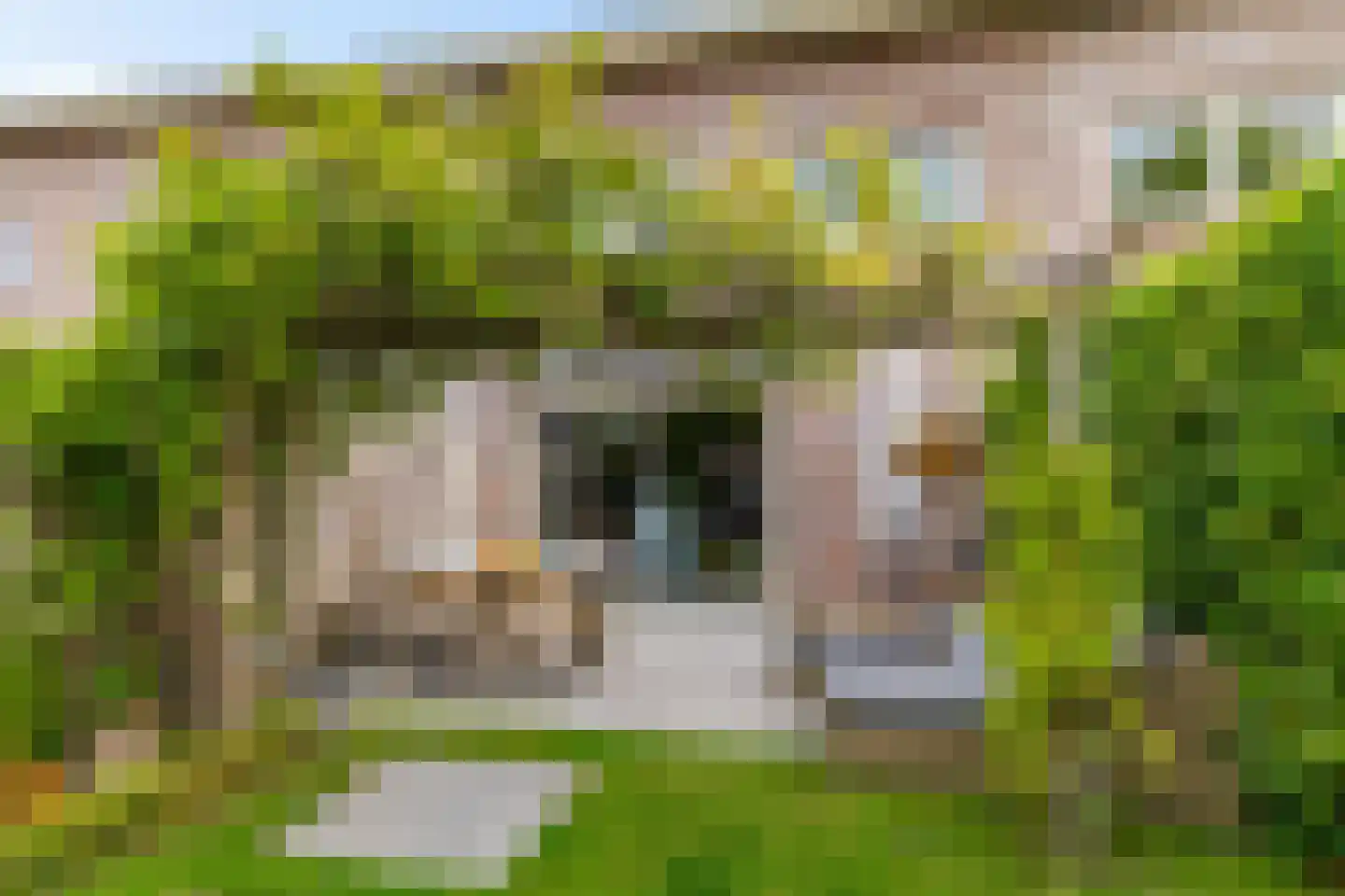 Niek Engelschmanstraat 7 Groningen thumbnail 34