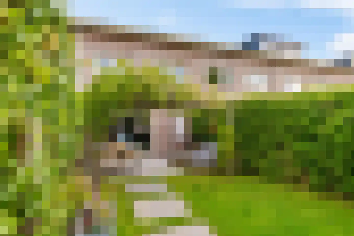 Niek Engelschmanstraat 7 Groningen thumbnail 35