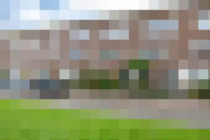 Niek Engelschmanstraat 9 Groningen thumbnail 27