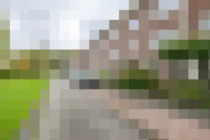 Niek Engelschmanstraat 9 Groningen thumbnail 30