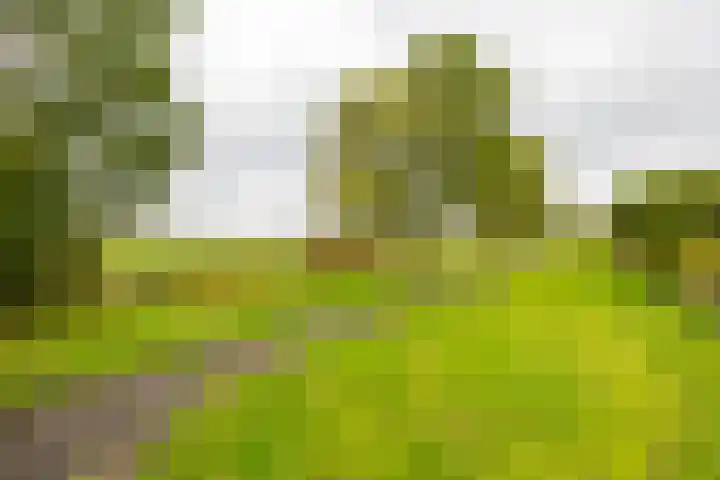 Niek Engelschmanstraat 9 Groningen thumbnail 32