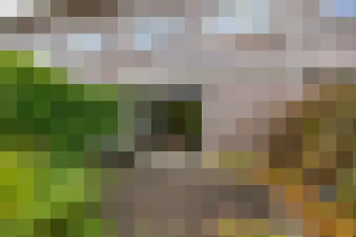 Niek Engelschmanstraat 9 Groningen thumbnail 8