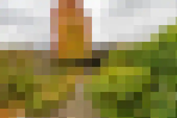 Niek Engelschmanstraat 9 Groningen thumbnail 9