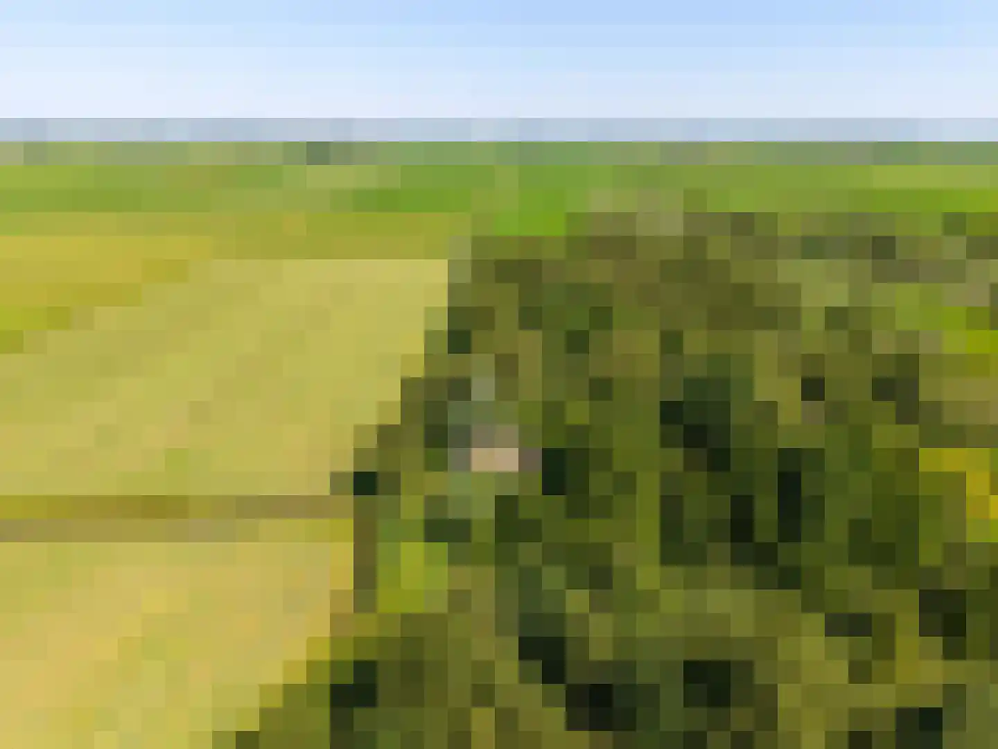 Niekerkerdiep 6 Niekerk thumbnail 10