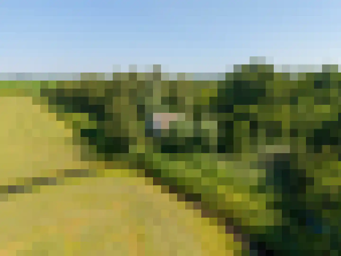 Niekerkerdiep 6 Niekerk thumbnail 12