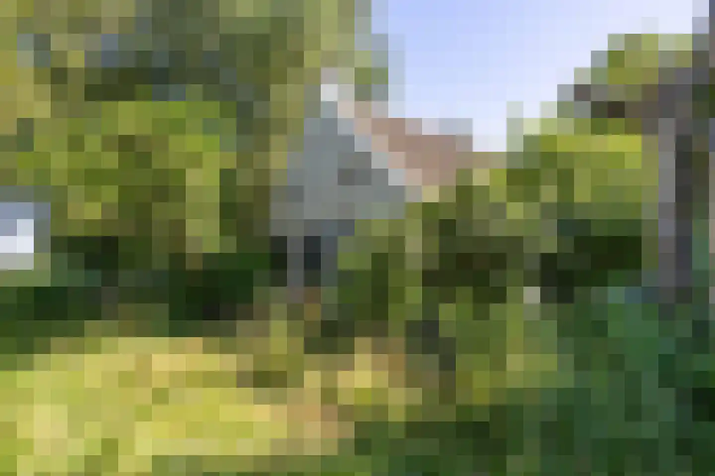 Niekerkerdiep 6 Niekerk thumbnail 13