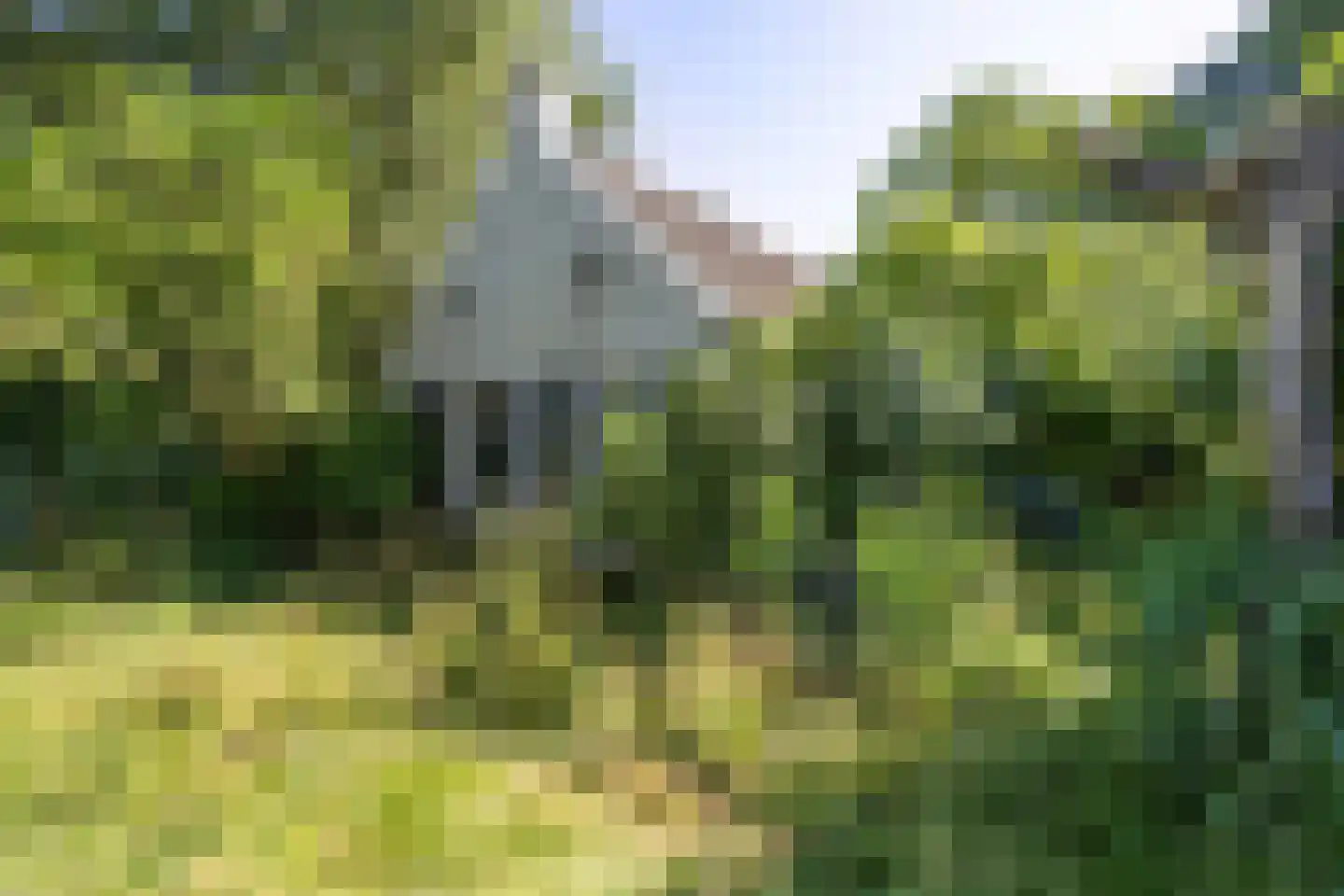 Niekerkerdiep 6 Niekerk thumbnail 16