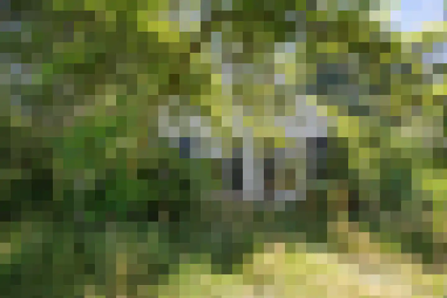Niekerkerdiep 6 Niekerk thumbnail 17