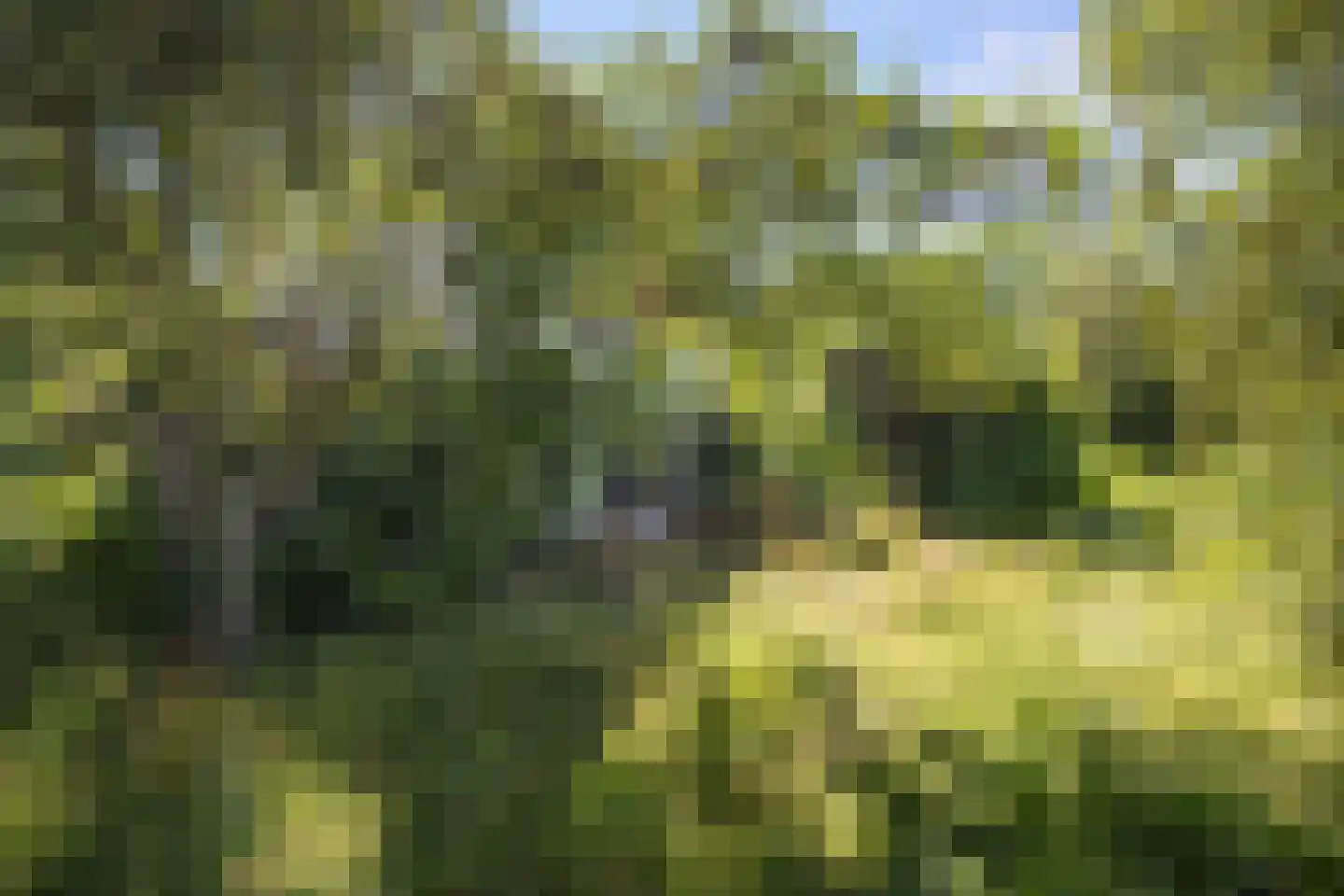 Niekerkerdiep 6 Niekerk thumbnail 18