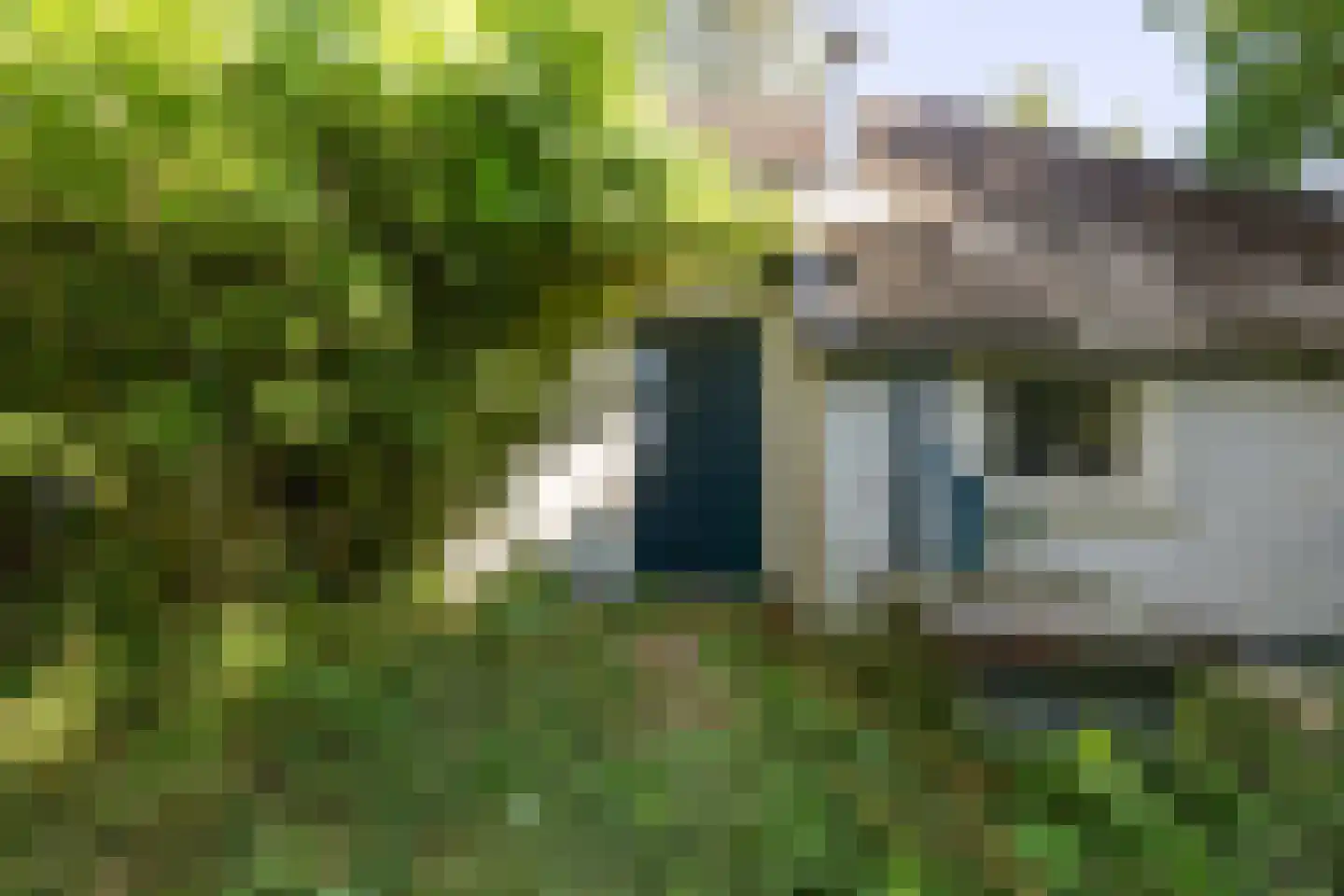 Niekerkerdiep 6 Niekerk thumbnail 21