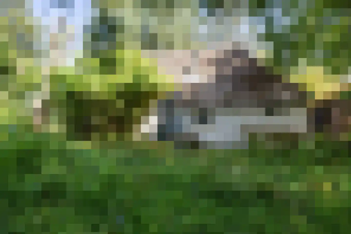 Niekerkerdiep 6 Niekerk thumbnail 22