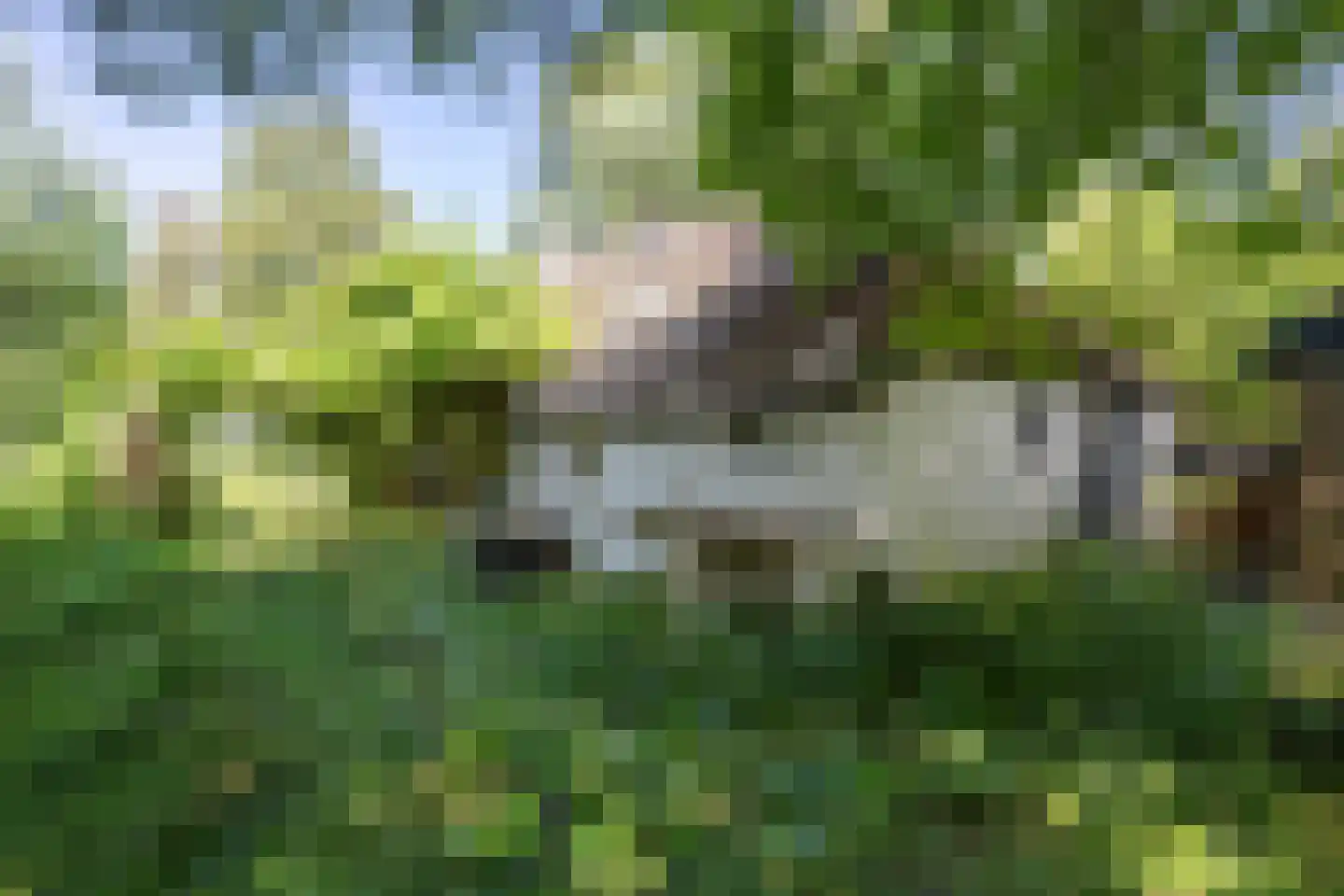 Niekerkerdiep 6 Niekerk thumbnail 23