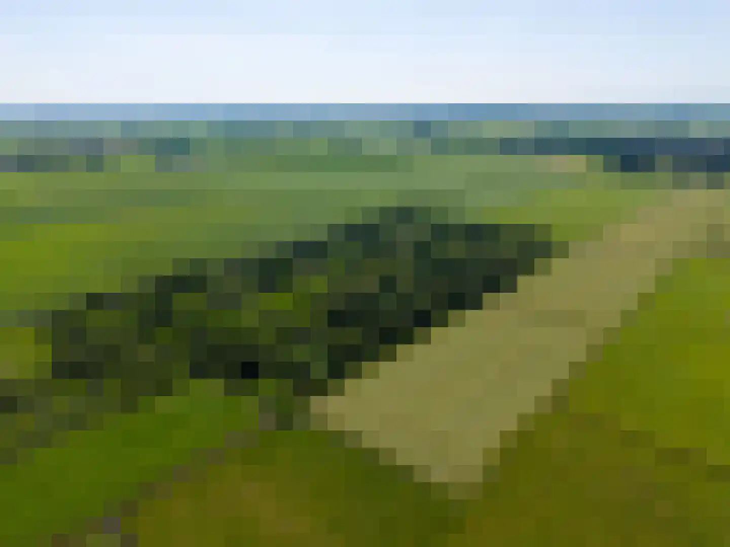 Niekerkerdiep 6 Niekerk thumbnail 4