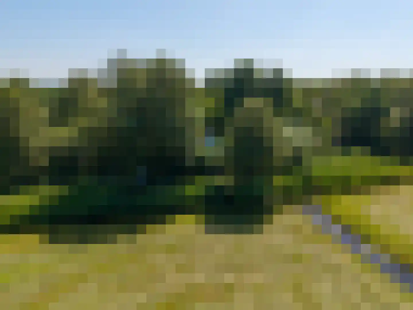Niekerkerdiep 6 Niekerk thumbnail 7