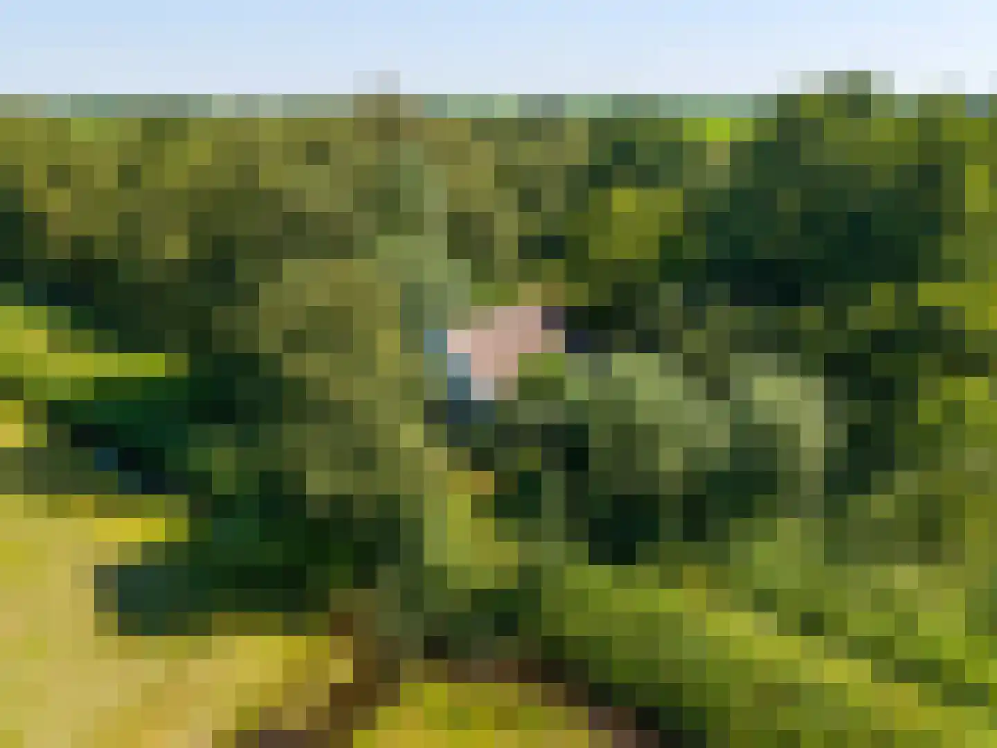 Niekerkerdiep 6 Niekerk thumbnail 9