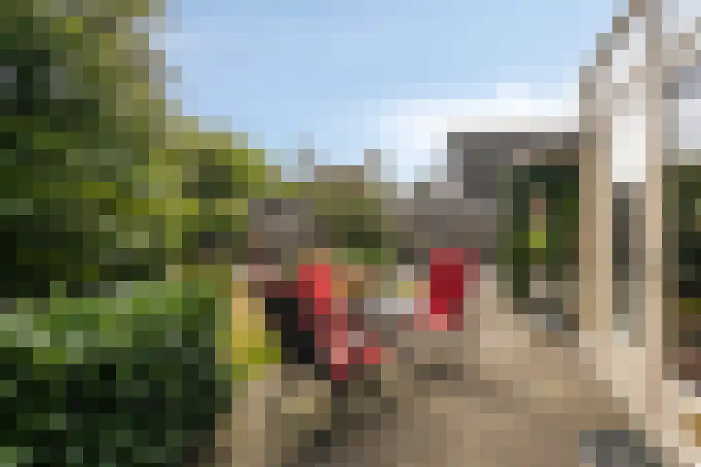 Nielingen 48 Millingen aan de Rijn thumbnail 20