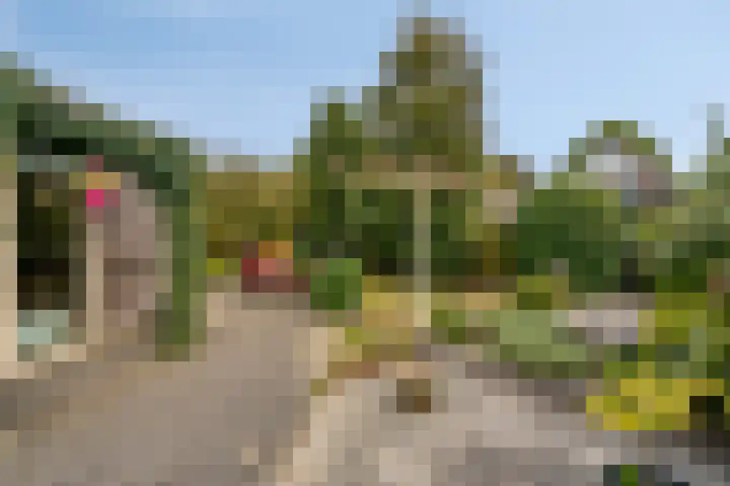 Nielingen 48 Millingen aan de Rijn thumbnail 21