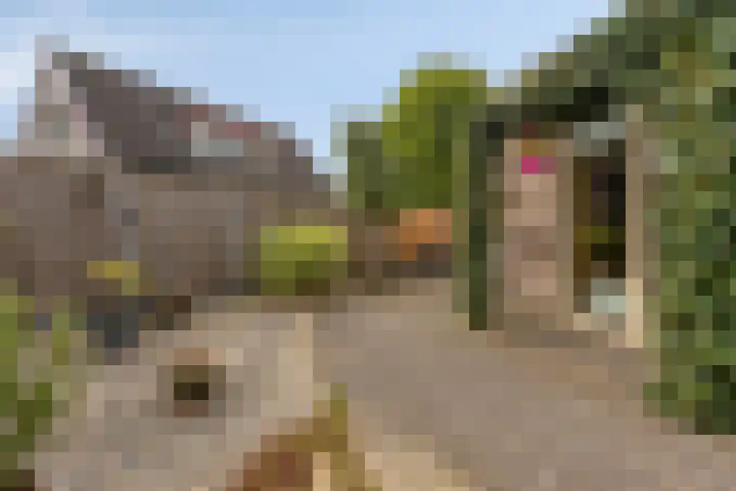 Nielingen 48 Millingen aan de Rijn thumbnail 22