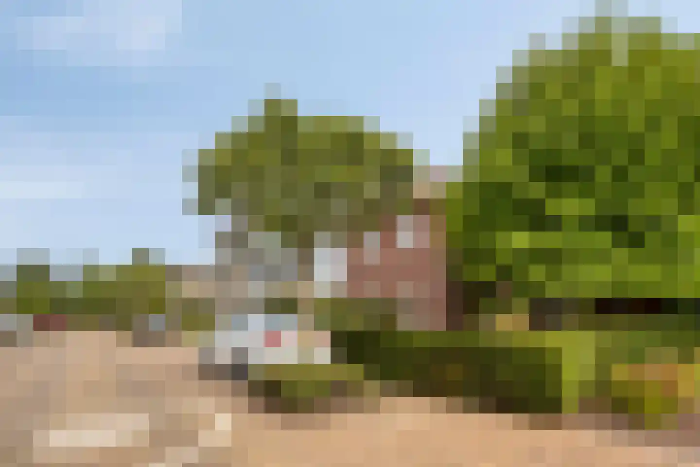 Nielingen 48 Millingen aan de Rijn thumbnail 26