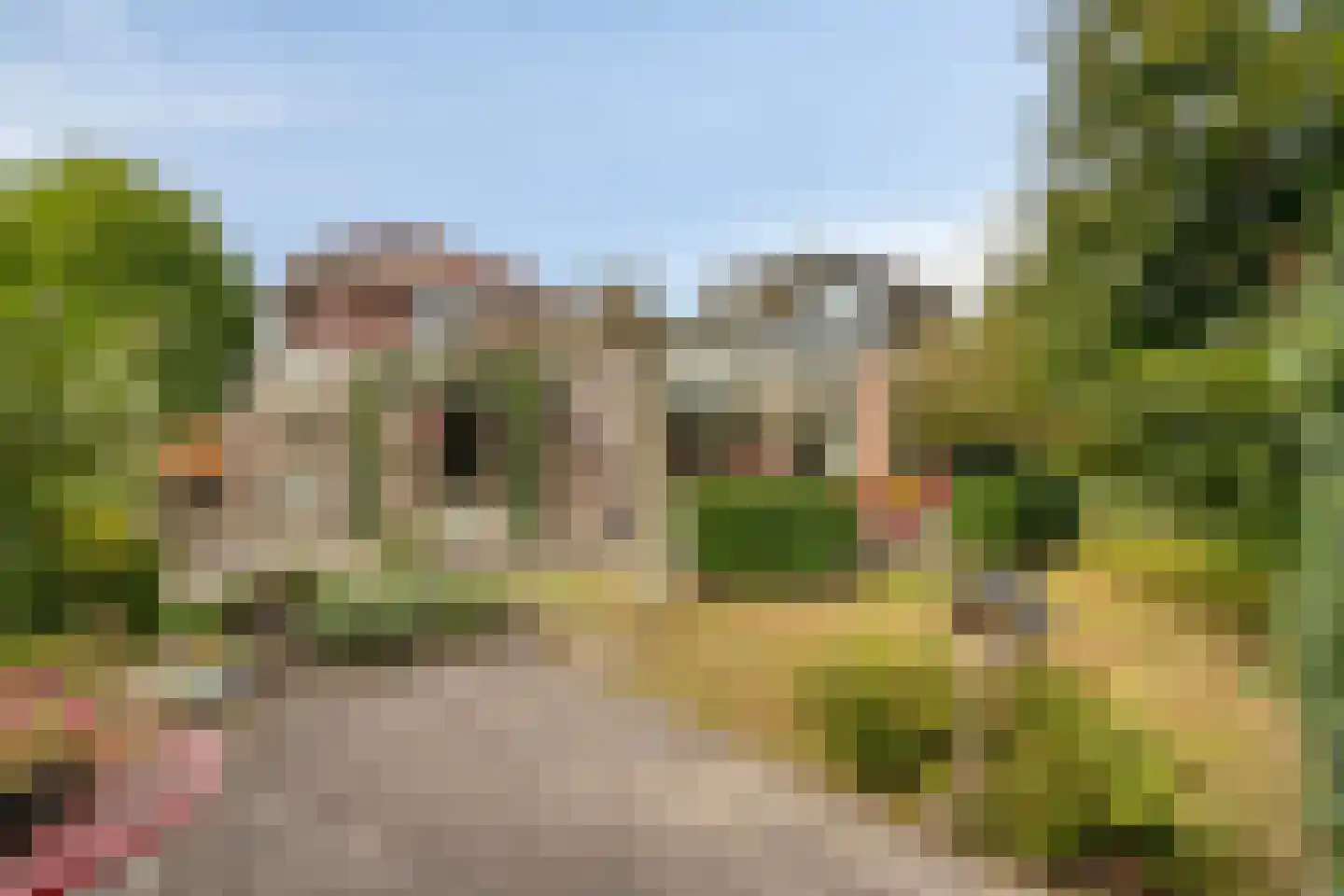 Nielingen 48 Millingen aan de Rijn foto 3