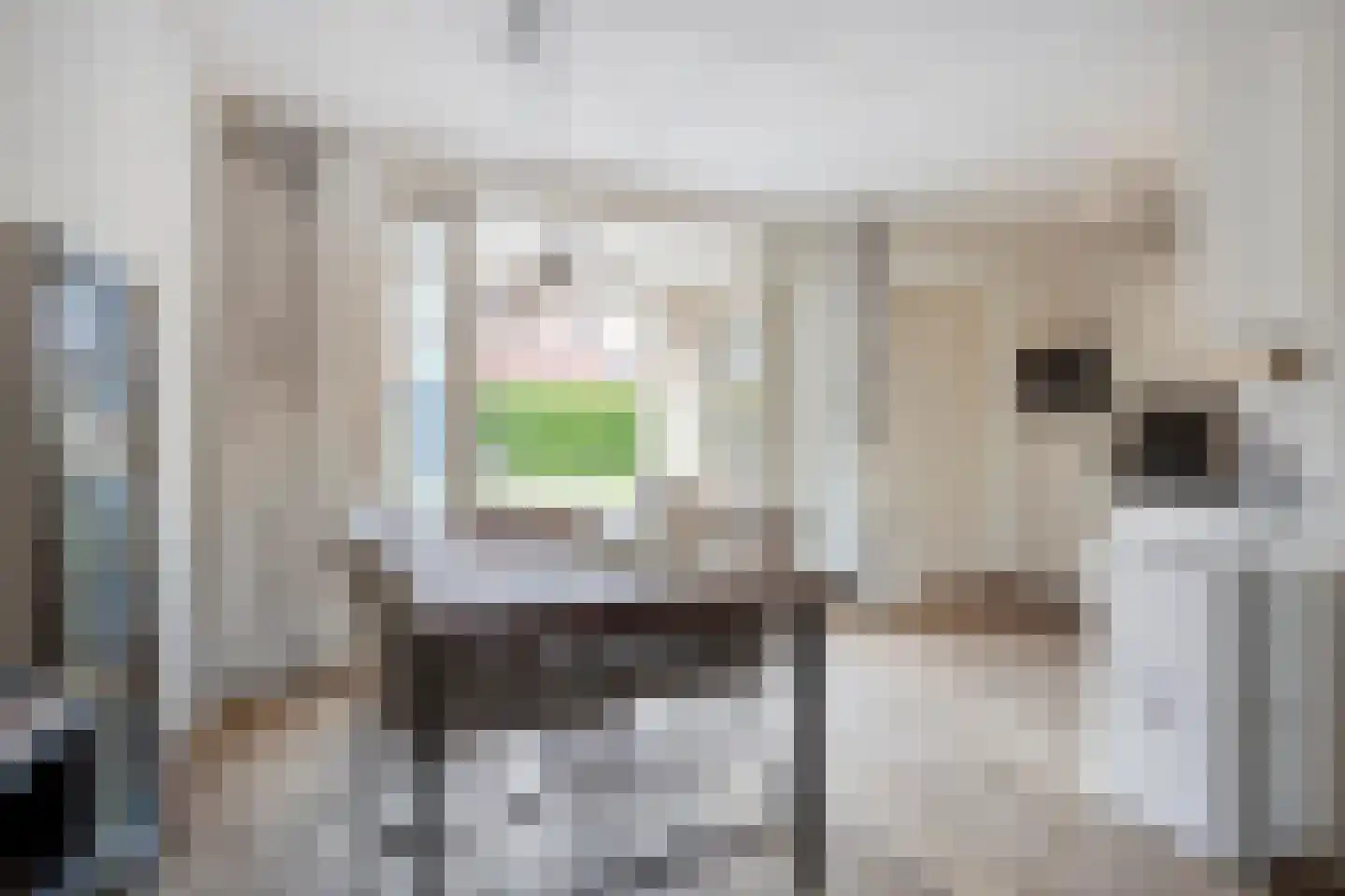 Nielingen 79 Millingen aan de Rijn thumbnail 10