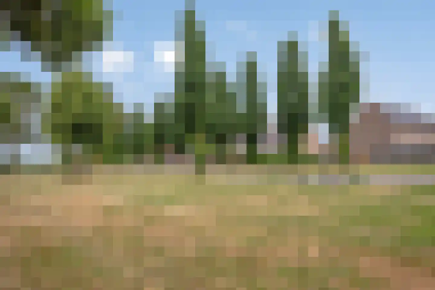 Nielingen 79 Millingen aan de Rijn thumbnail 32