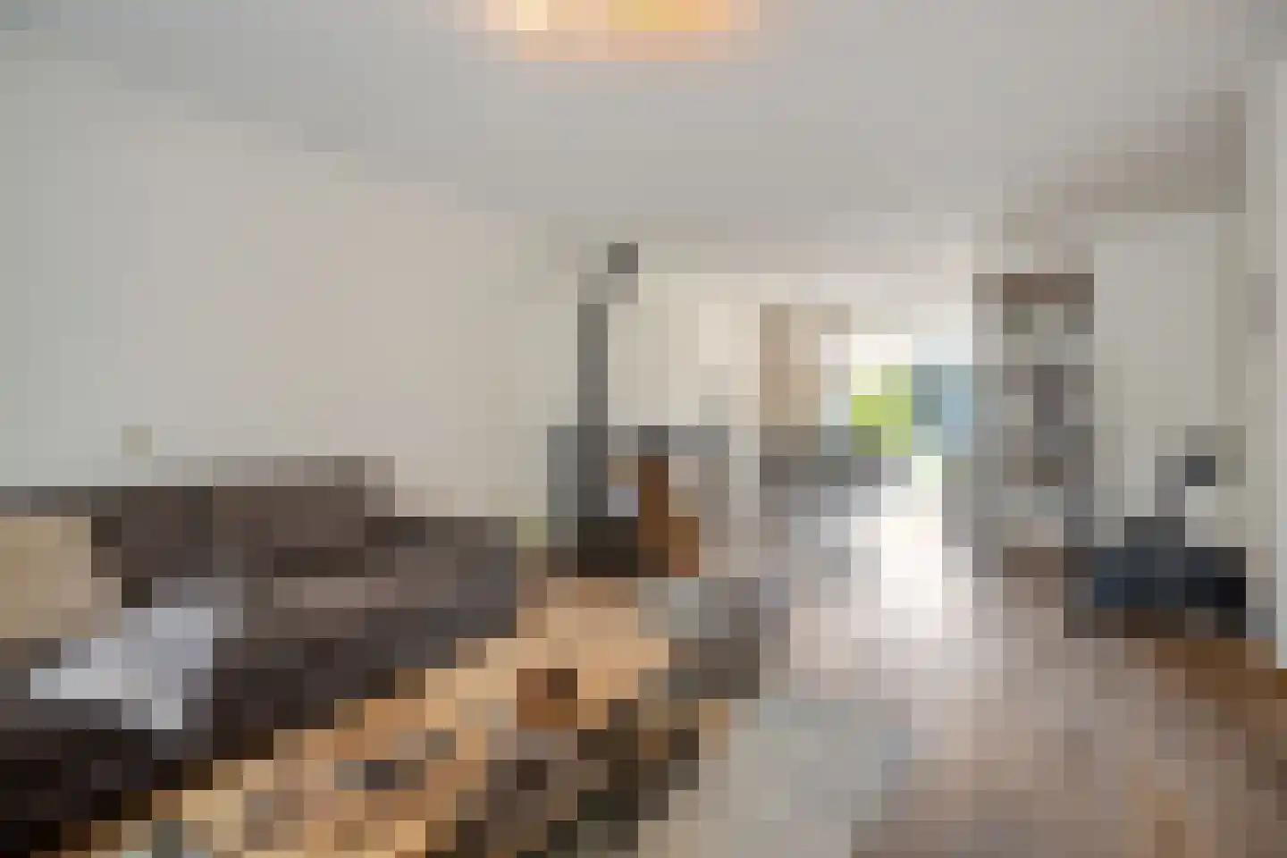 Nielingen 79 Millingen aan de Rijn thumbnail 7