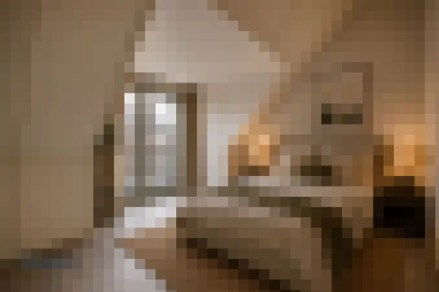 Niellerveld 22 Roermond thumbnail 22