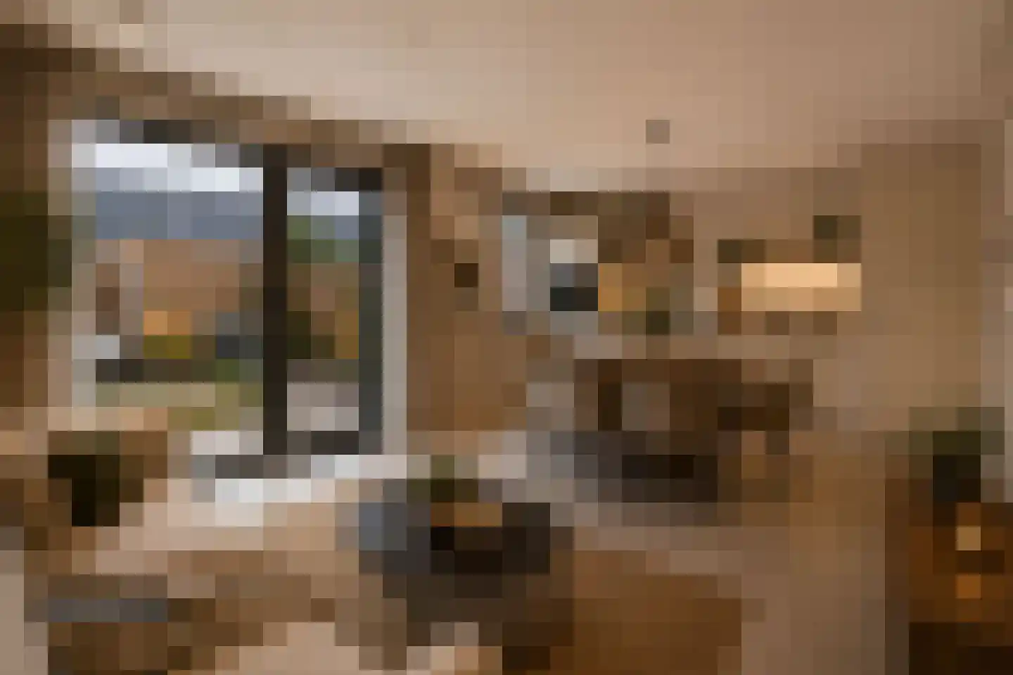 Niellerveld 22 Roermond thumbnail 4