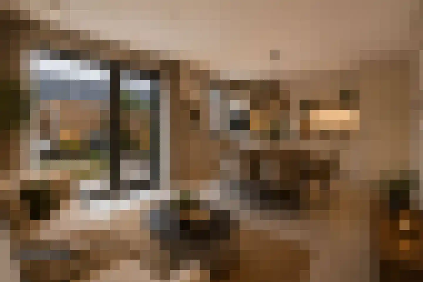 Niellerveld 22 Roermond thumbnail 8