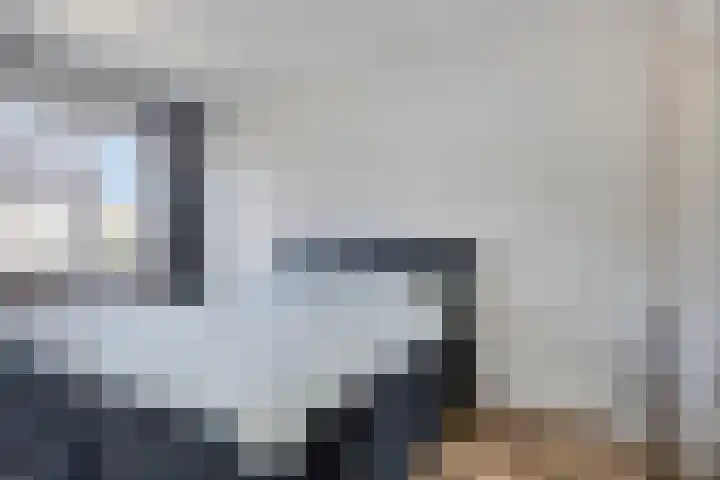 Niellerveld 31 Roermond thumbnail 17