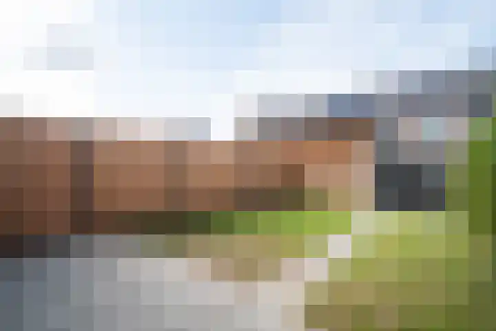 Niellerveld 31 Roermond thumbnail 27