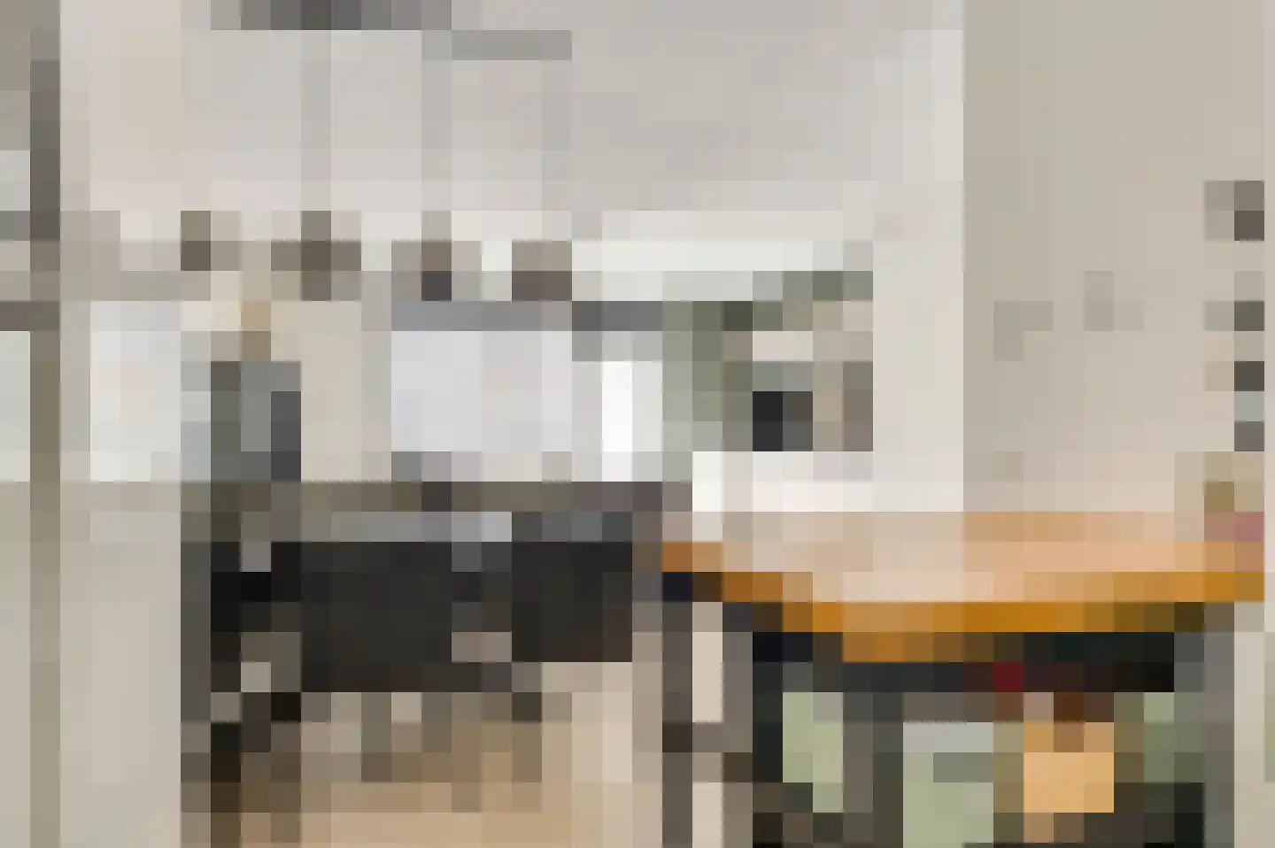 Niellerveld 45 Roermond thumbnail 13
