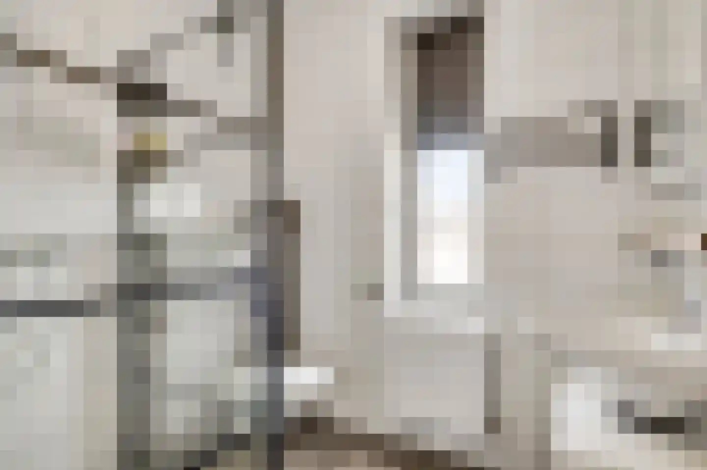 Niellerveld 45 Roermond thumbnail 24