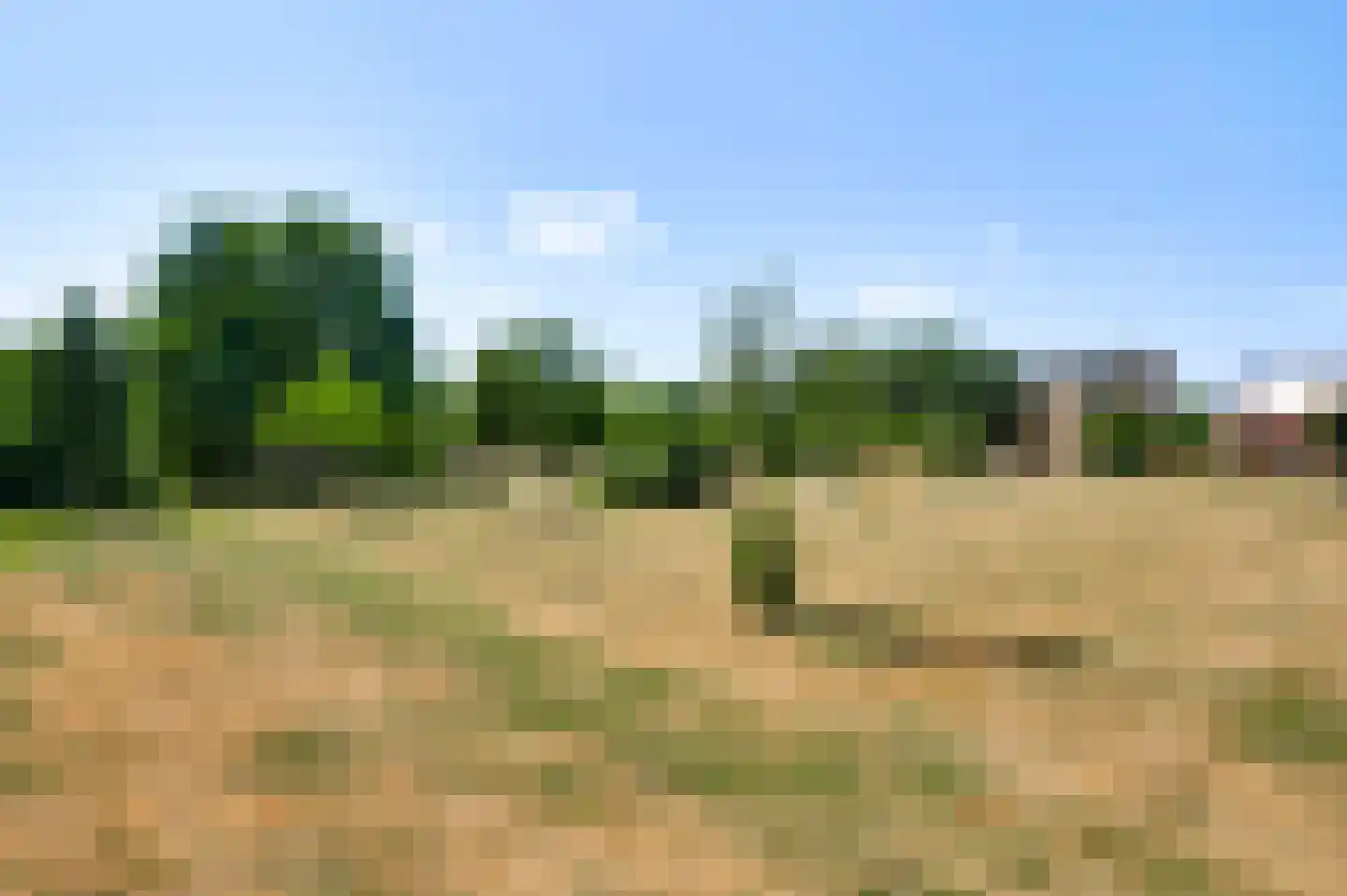 Niellerveld 45 Roermond thumbnail 35