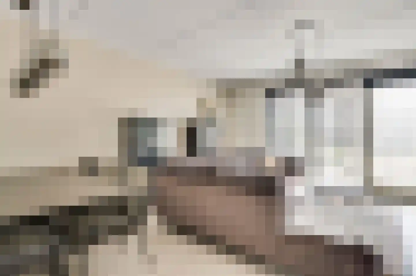 Niellerveld 45 Roermond thumbnail 9