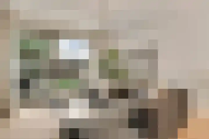 Niellerveld 47 Roermond thumbnail 15