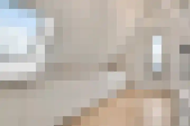 Niellerveld 47 Roermond thumbnail 29