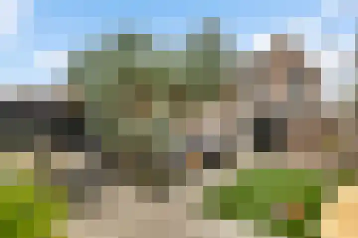 Niellerveld 47 Roermond thumbnail 34