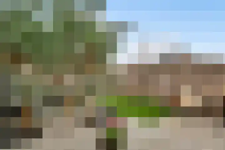 Niellerveld 47 Roermond thumbnail 35
