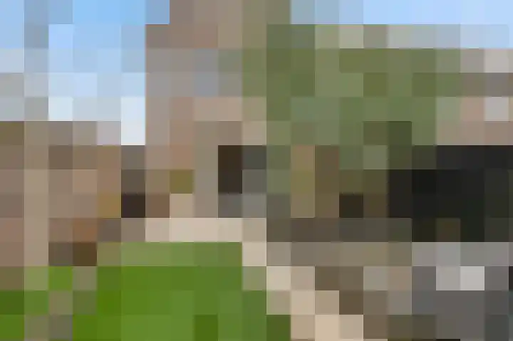 Niellerveld 47 Roermond thumbnail 37