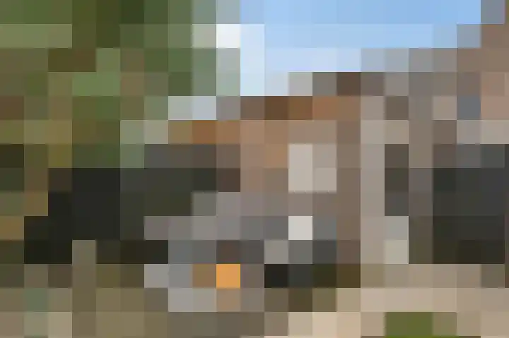 Niellerveld 47 Roermond thumbnail 38